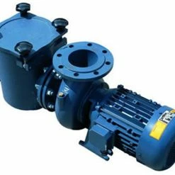 Certikin BP Commercial Swimming Pool Pump